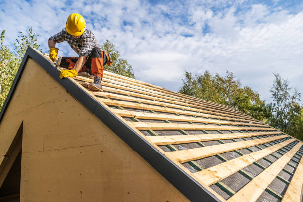 Roof Gutter Cleaning in Waukee, IA